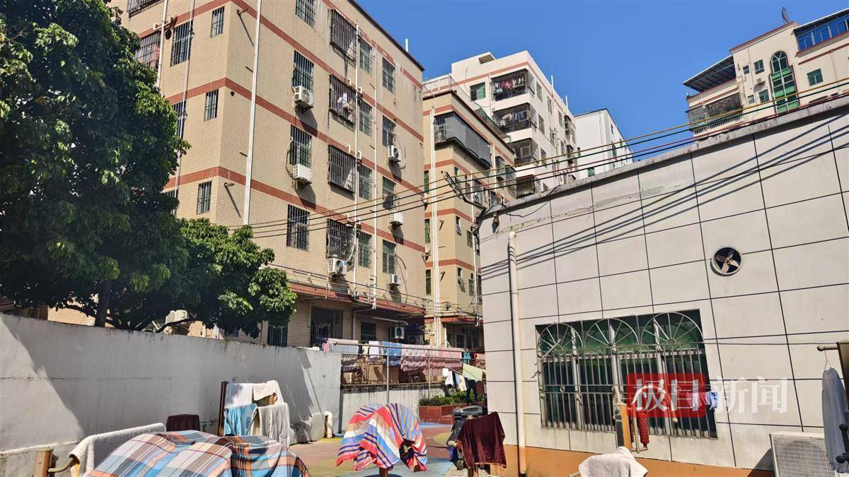 深圳夫妻生育两女后再迎四胞胎女儿：两室一厅出租屋住着一家九口，姐姐按转运珠数量区分四个妹妹