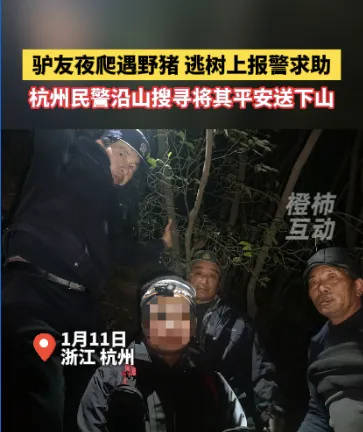 “我现在在树上，野猪在下面……”杭州一男子深夜报警！