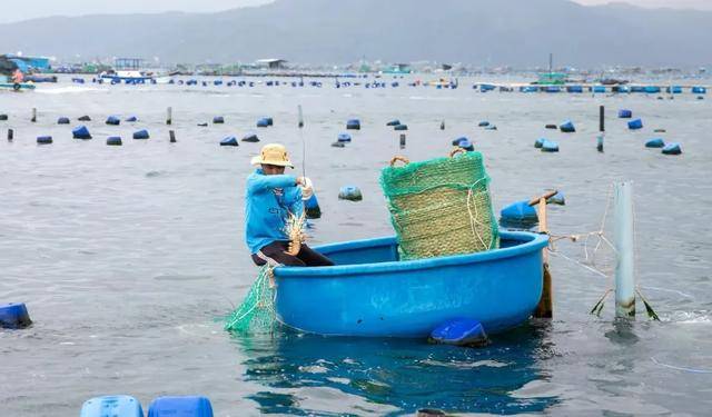 越南渔民焦虑了：中国人回微信我才能睡个好觉