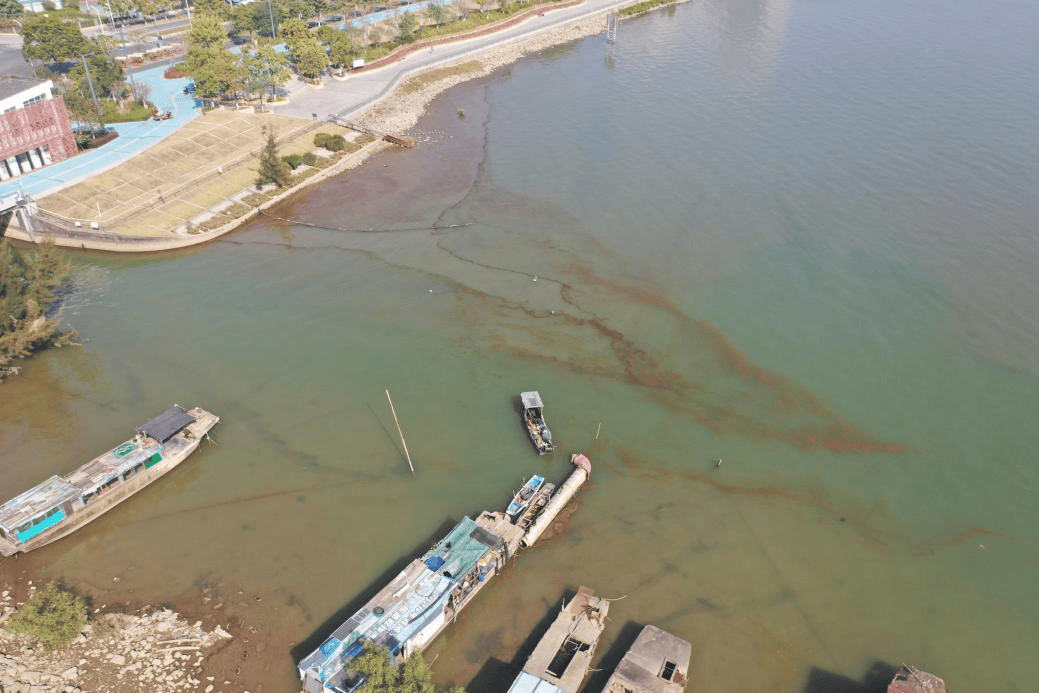 海边密集出现“爆爆珠”？广州、深圳等多地发布提醒