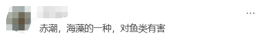 海边密集出现“爆爆珠”？广州、深圳等多地发布提醒